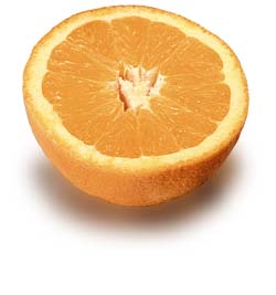 FRUITS
