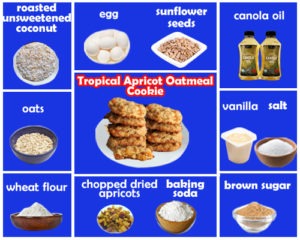 Tropical-Apricot-Oatmeal-Cookie