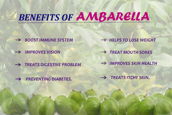  Ambarella Infographic