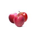 pacific rose apple