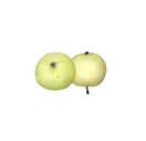 yellow transparent apple