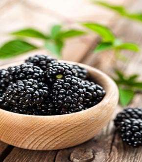  blackberry autumn fruit2