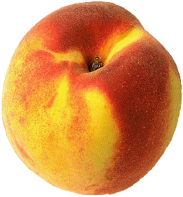 Clingstone Peach