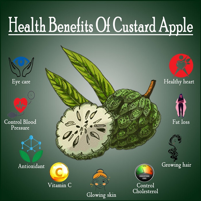 Custard Apple fruit Infographic