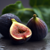 fig-fruit