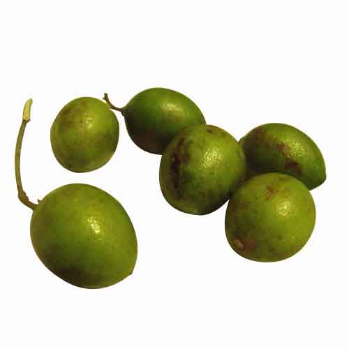 Genip Fruit Nutrition Facts Genip Fruit Health Benefits