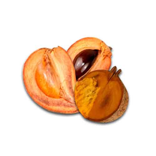 Mamey Sapote | Nutrition facts-Mamey Sapote | Health benefits