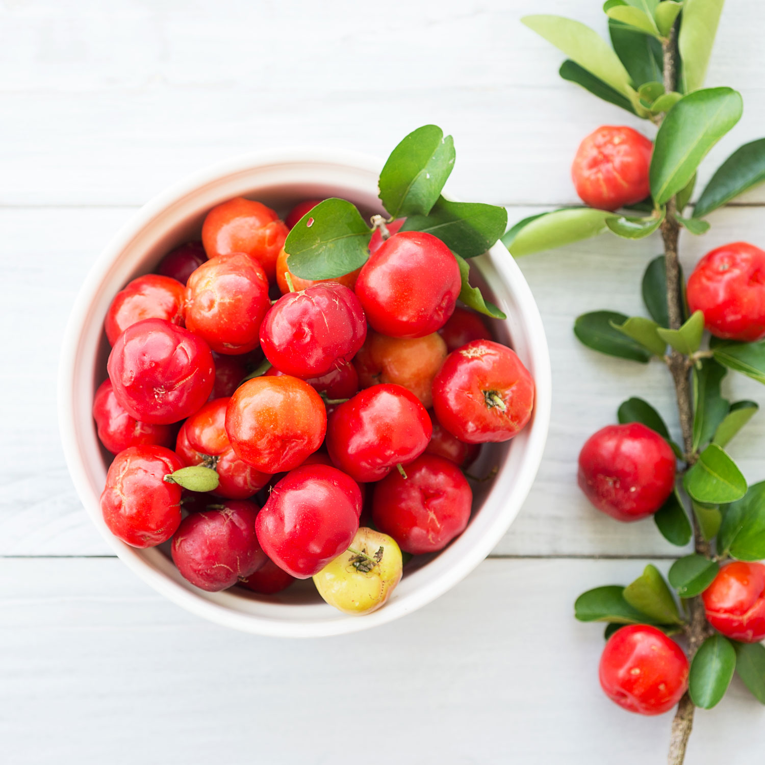 acerola