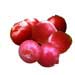 Lingonberry