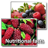 loganberry nutritional facts