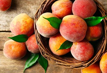 peach autumn fruit2