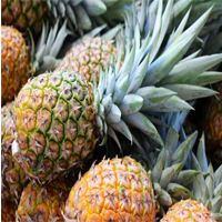 spanish jewel pineapple