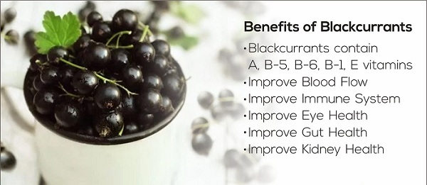 blackcurrant fruit healthy small