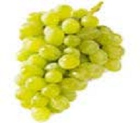 grapes season